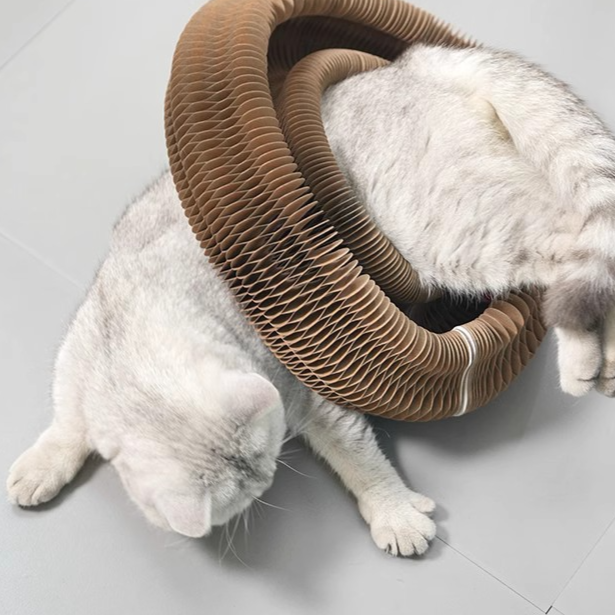 KittyCurlz