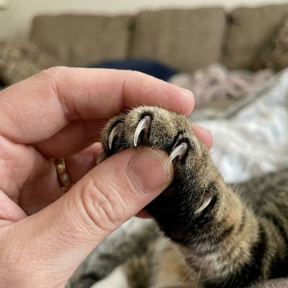 ClawProtect Pro™ 2