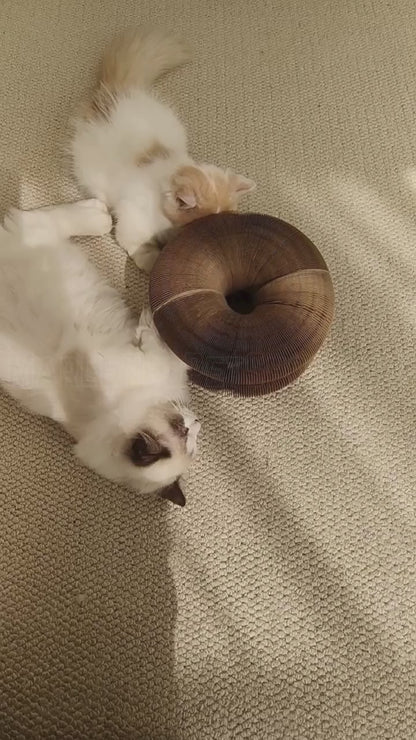 KittyCurlz